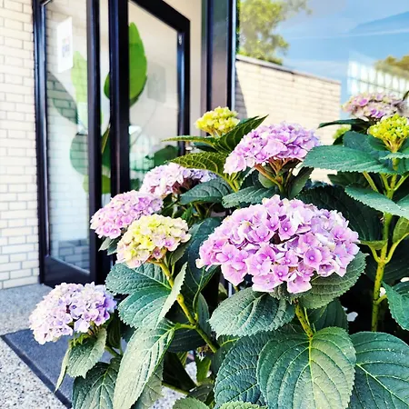 Lägenhet Hochwertige In Ruhiger Lage Mit Eigener Terrasse Und Parkplatz, Nur 7 Gehminuten Zum Entfernt - Hoher Schlafkomfort Dank Boxspringbett *